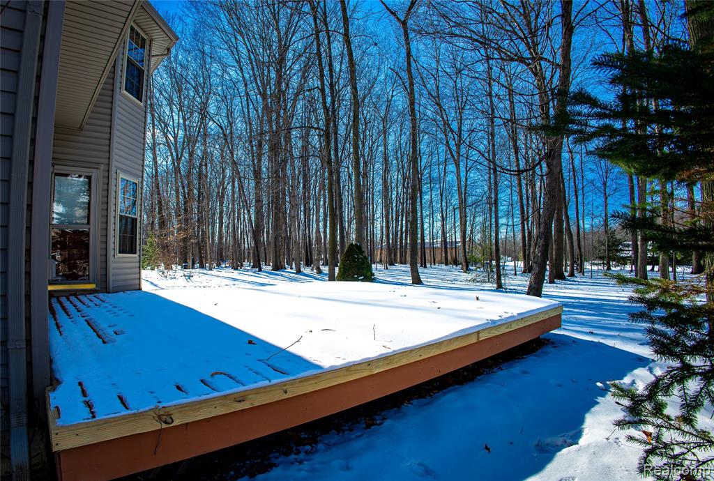 26720 Whispering Willows Drive, New Boston, MI 48164 — Photo 39