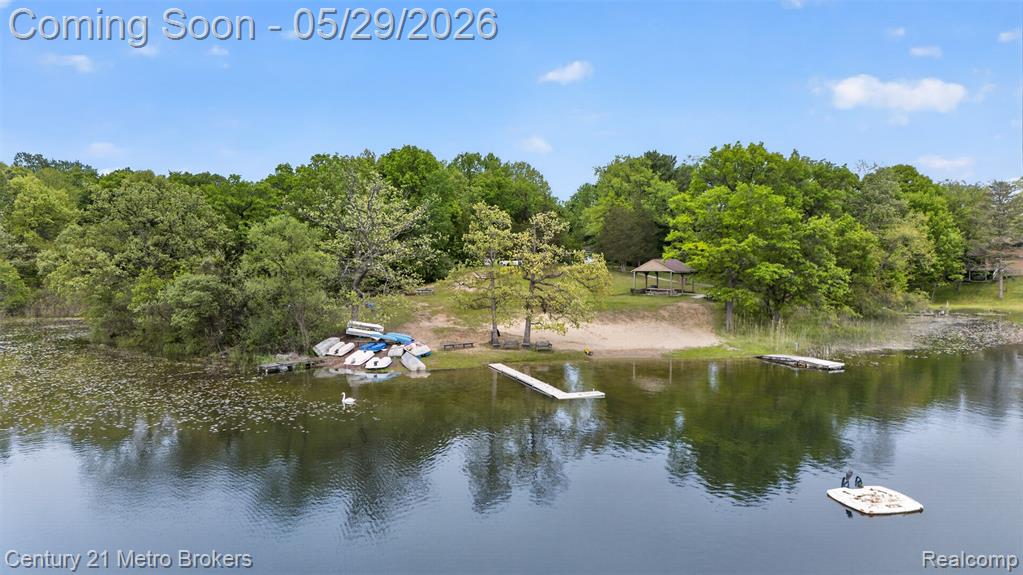 985 S Park Street, Highland, MI 48356 — Photo 41