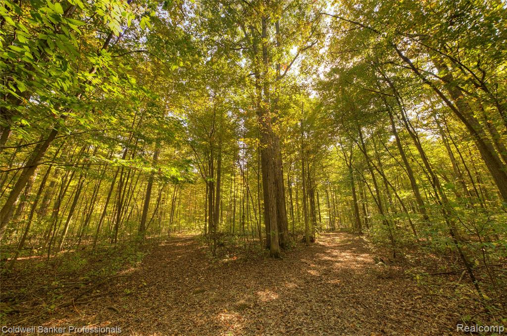 2782 Gravel Creek Road, North Branch, MI 48461 — Photo 40