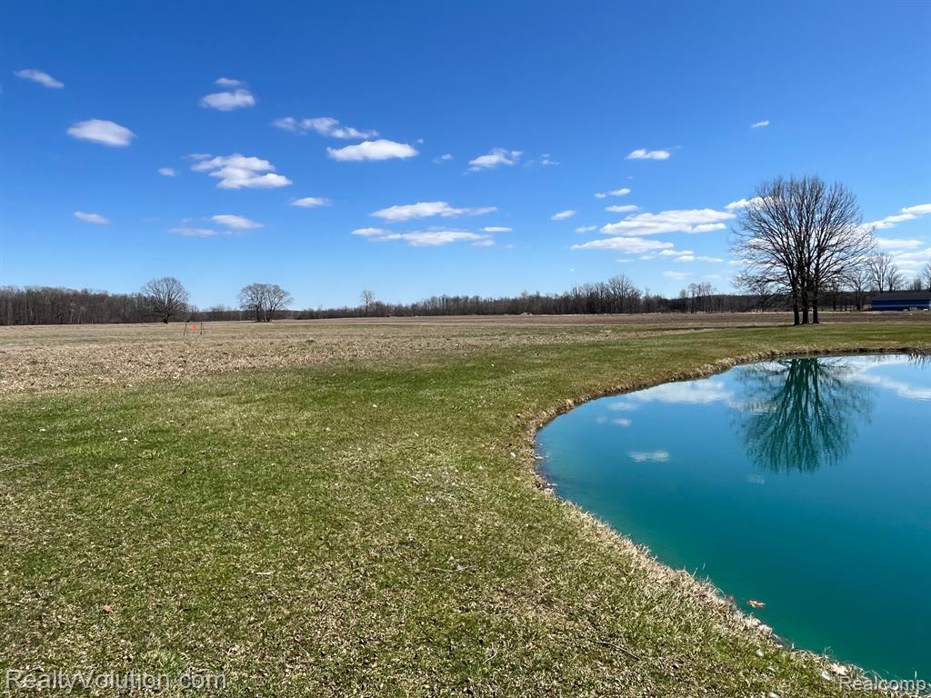 1736 WHEELING Road, Imlay City, MI 48444 — Photo 44