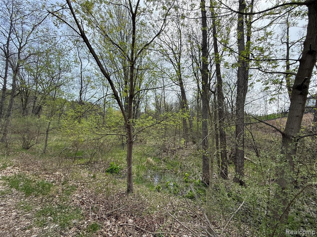 Lot 66 Preserve Drive, Fenton, MI 48430 — Photo 2