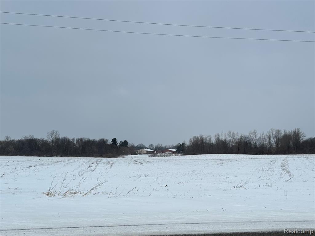 4651 Imlay City Road, Attica, MI 48412 — front exterior