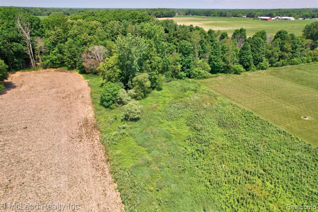 5160 Barnes Road, Millington, MI 48746 — Photo 8