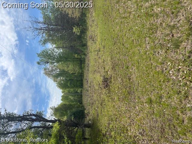 4148 Blue Vista Drive, Evart, MI 49631 — Photo 39