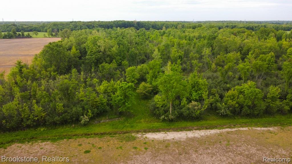 Vacant Land 30 Mile Road, Lenox, MI 48050 — Photo 8