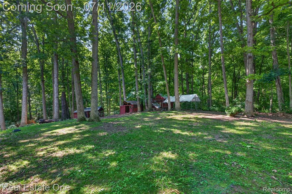 310 S Van Road, Holly, MI 48442 — Photo 61