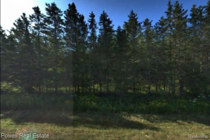 E M48, Pickford, MI 49774 — front exterior