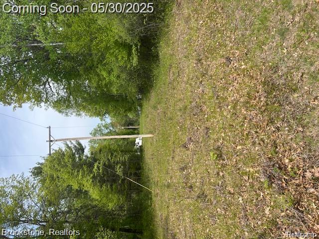 4148 Blue Vista Drive, Evart, MI 49631 — Photo 40