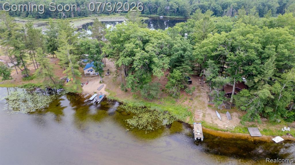 8272 Paradise Drive, South Branch, MI 48761 — Photo 41