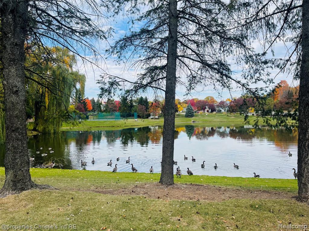 852 Linden Way, Auburn Hills, MI 48326 — Photo 48