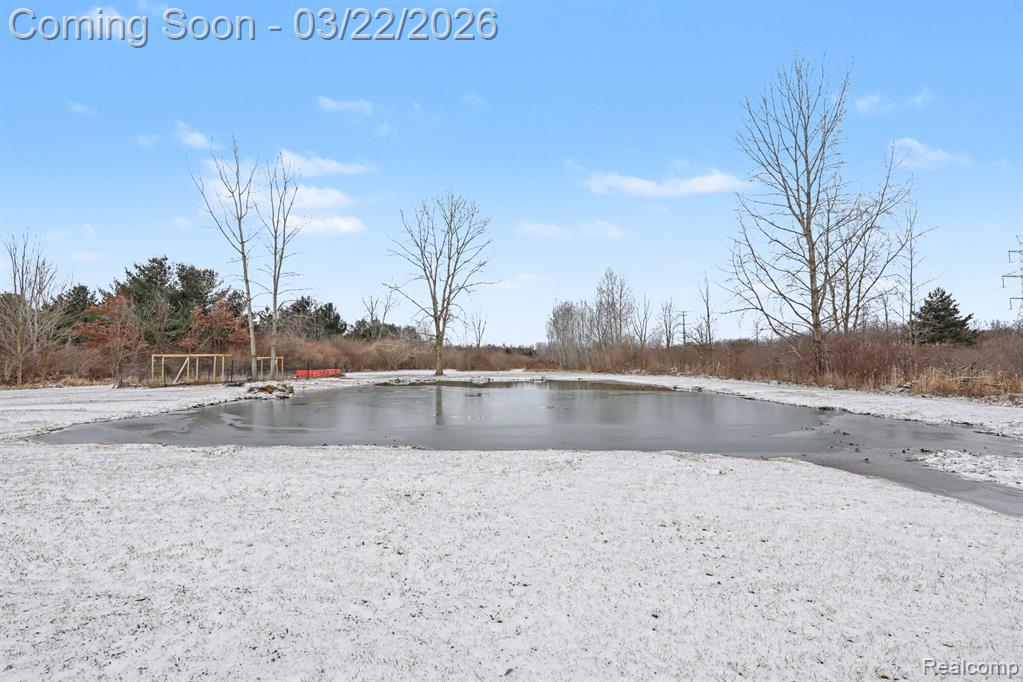 4458 Palms Road, Casco, MI 48064 — Photo 4