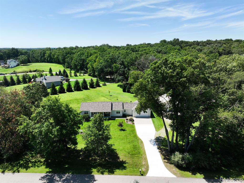 10031 IOSCO RIDGE Drive, Gregory, MI 48137 — Photo 55