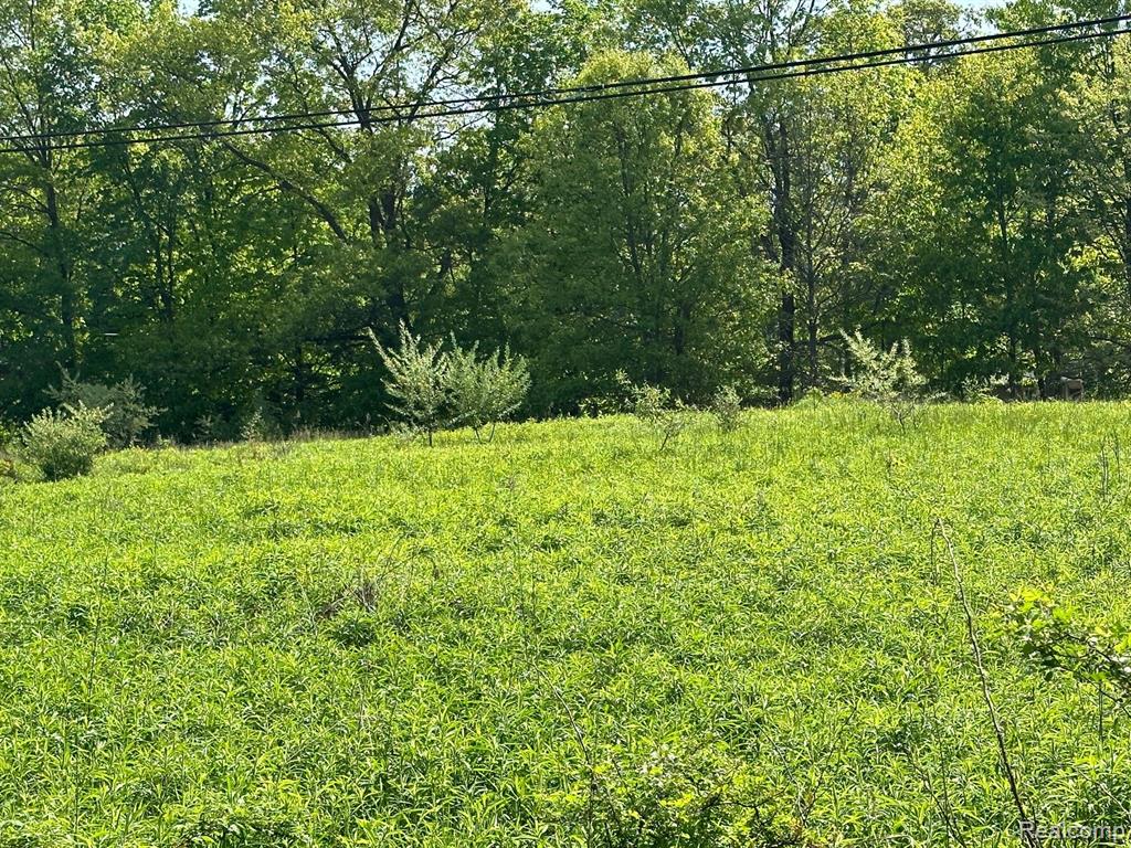 D N Holly, Holly, MI 48442 — Photo 24