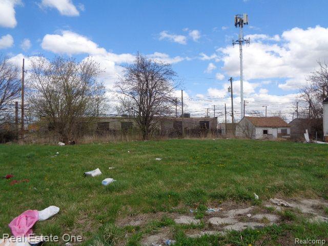 11676 SAINT LOUIS Street, Hamtramck, MI 48212 — Photo 2