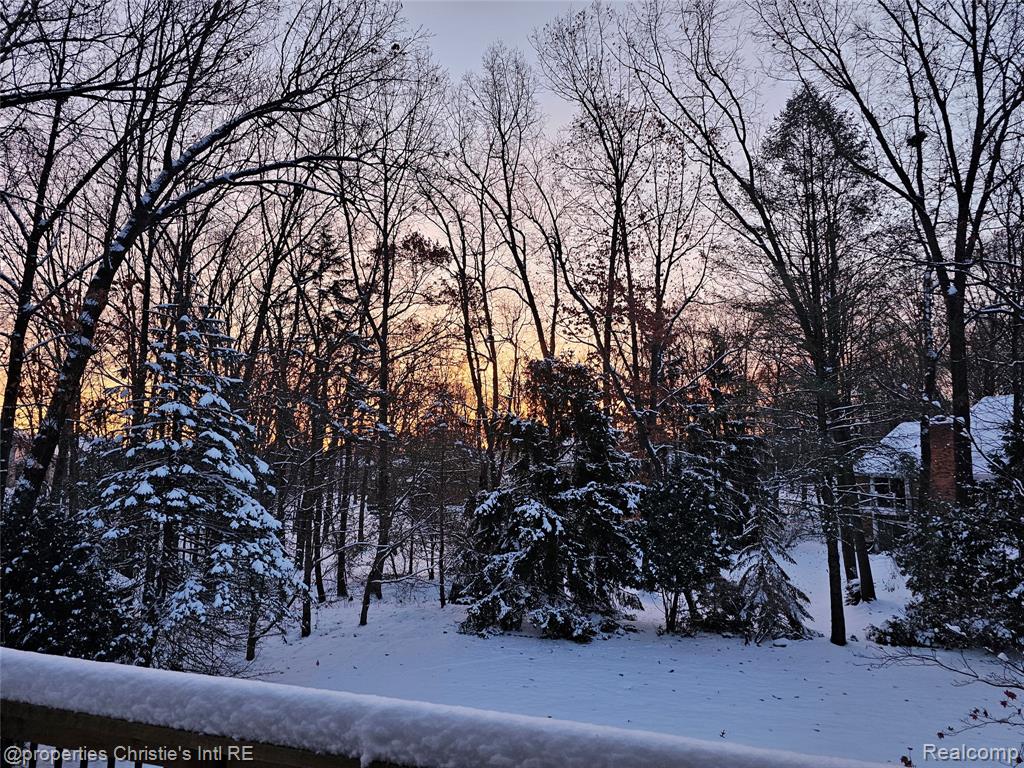 1168 Eagle Nest Drive, Milford, MI 48381 — Photo 58