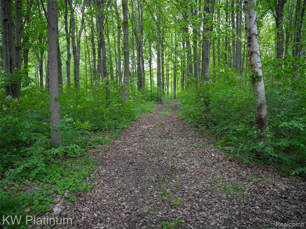 5324 Ravenswood Road, Kimball, MI — Photo 48