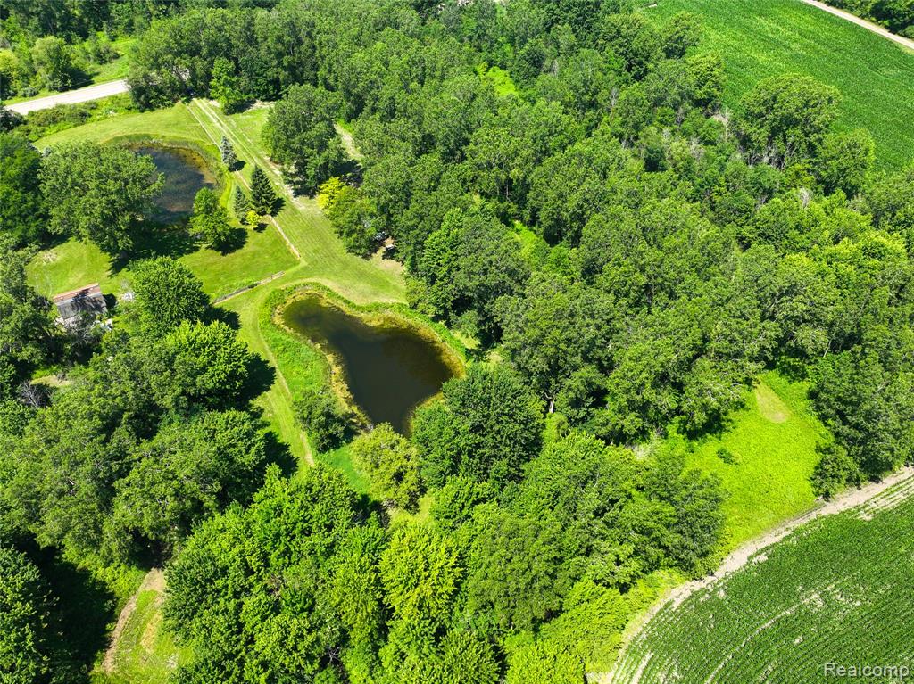 Vacant Land Nicholson Rd, Handy, MI 48836 — Photo 7