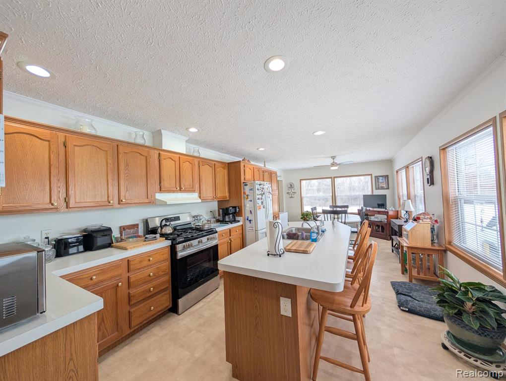 11242 Nearbrook Court, South Lyon, MI 48178 — Photo 2