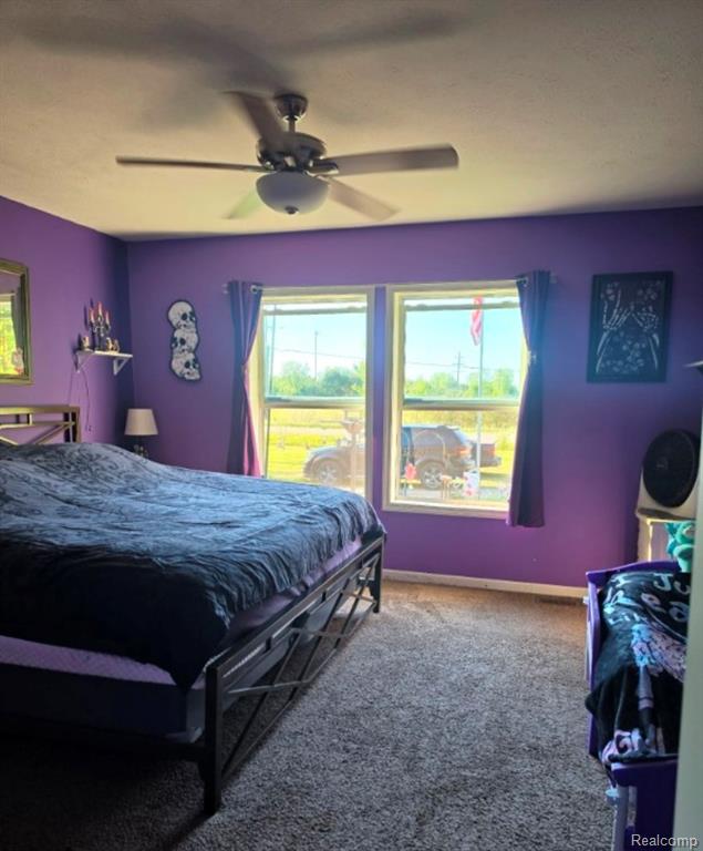 20 E Mier Road, Sanford, MI 48657 — Photo 12