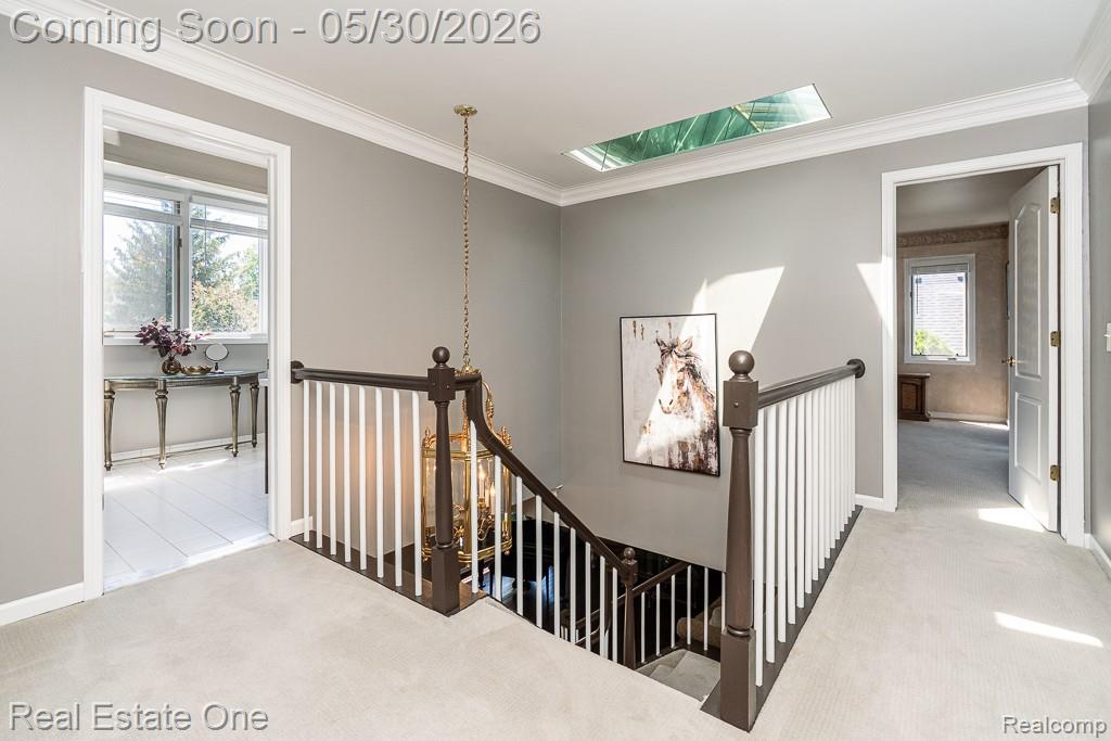 44105 Dunham Court, Clinton Twp, MI 48038 — Photo 17