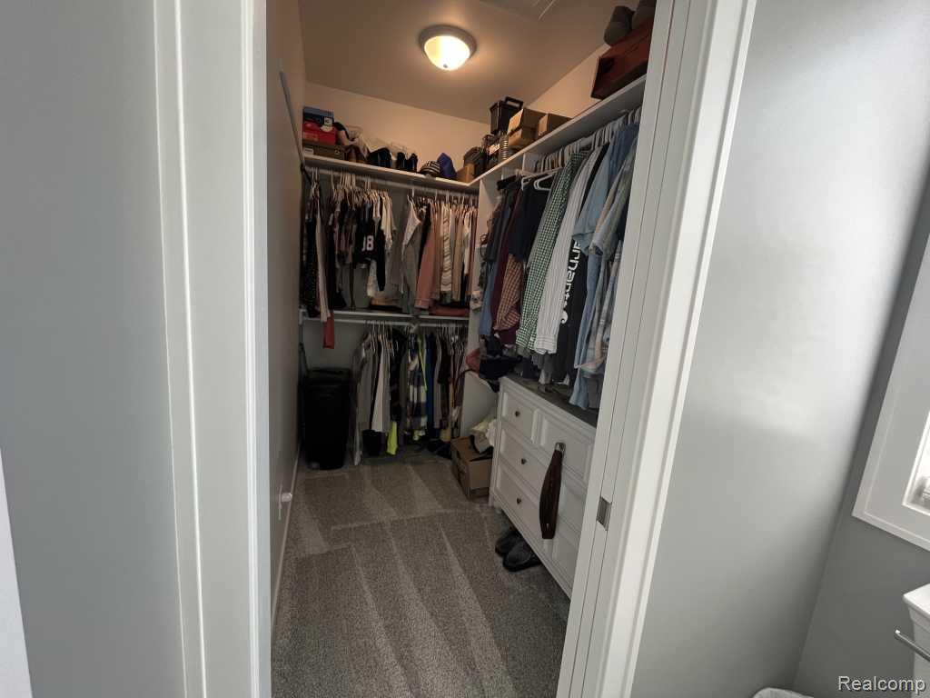 3384 W Howell Road, Mason, MI 48854 — Photo 21