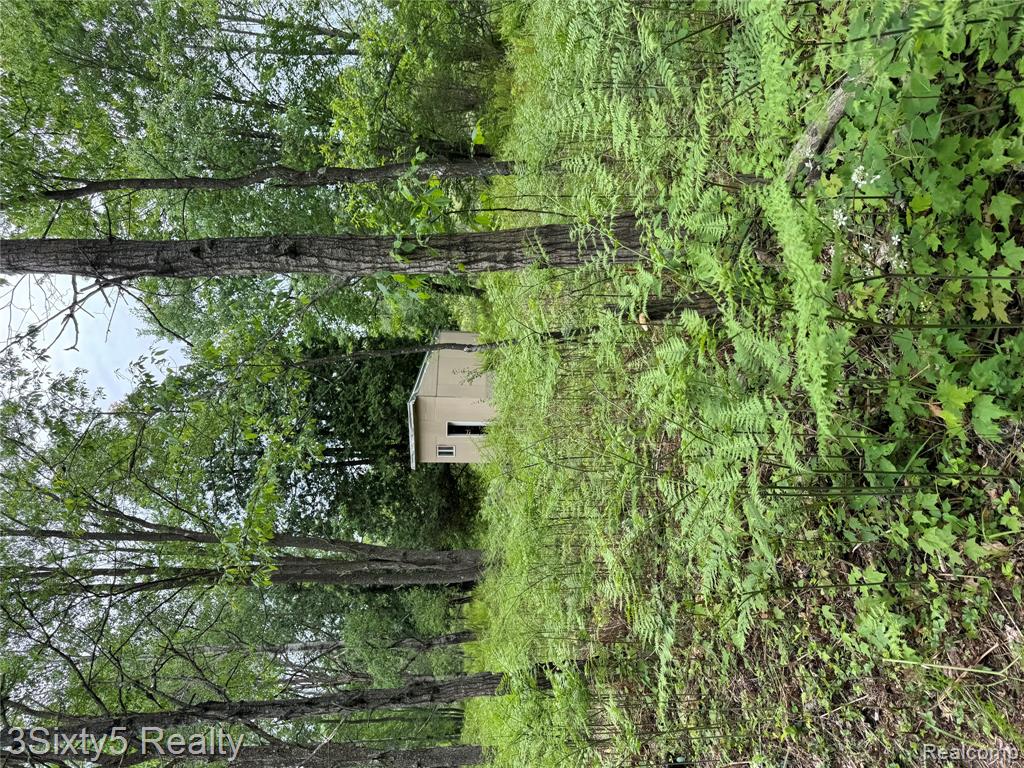 7710 10 Mile Road, Bitely, MI 49309 — Photo 9