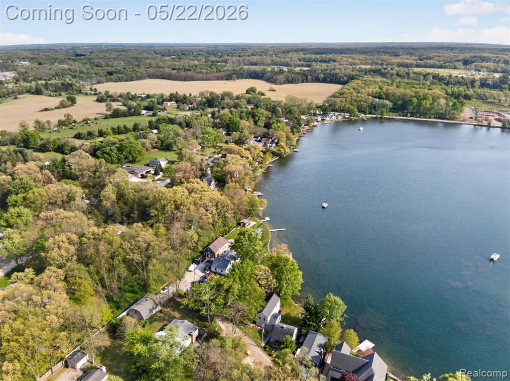 6548 Buckshore Drive, Whitmore Lake, MI 48189 — Photo 44