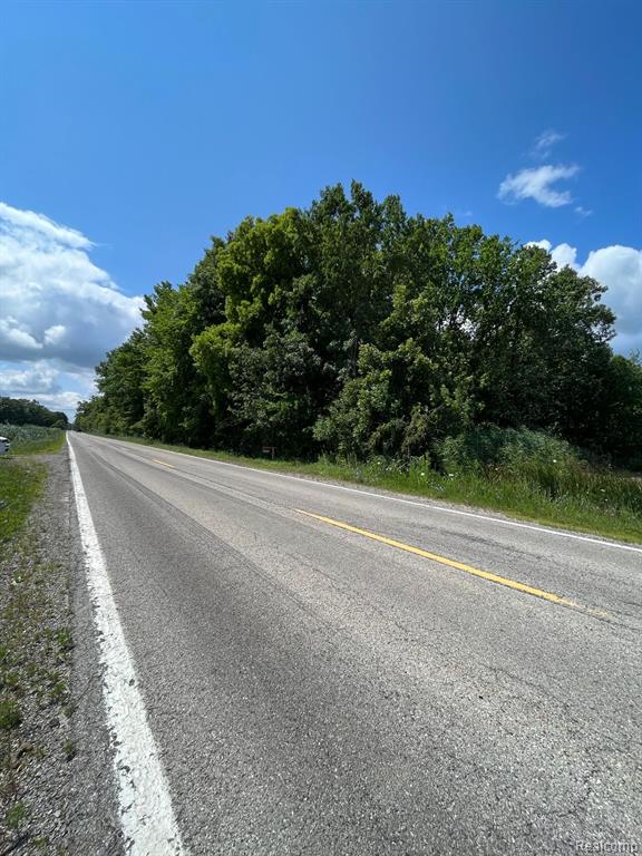 55815 BROUGHTON Road, Macomb, MI 48042 — Photo 12