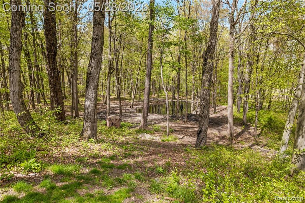 501 Cedarwood Street, Oxford, MI 48371 — Photo 19