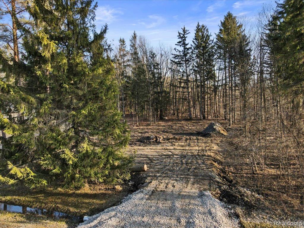 2995 Secluded Pines, Oxford, MI 48371 — Photo 3