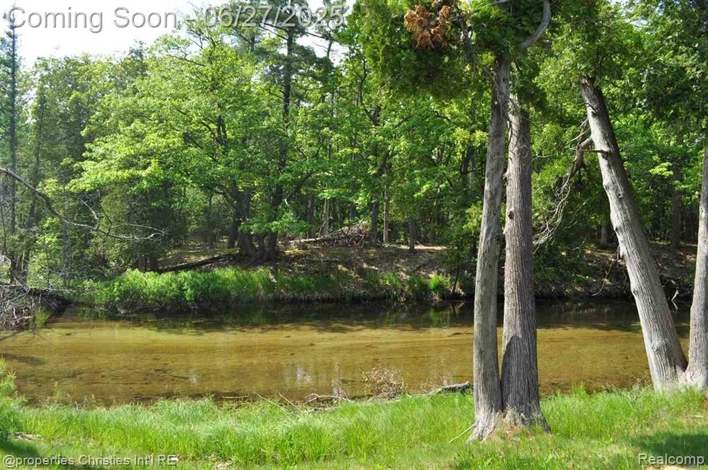 3 Millside, Glen Arbor, MI 49636 — Photo 3