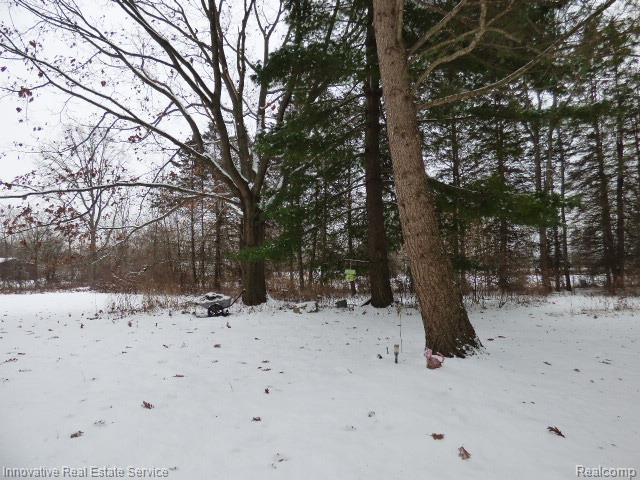 3820 Havens Road, Dryden, MI 48428 — Photo 20