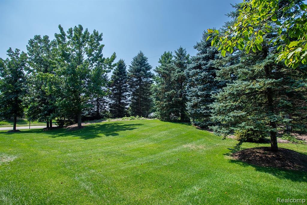 27900 Paradise Lane S, 1, Flat Rock, MI 48134 — Photo 41