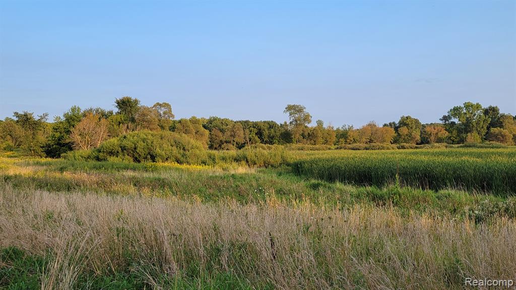 6513 GALE Road, Grand Blanc, MI 48439 — Photo 6