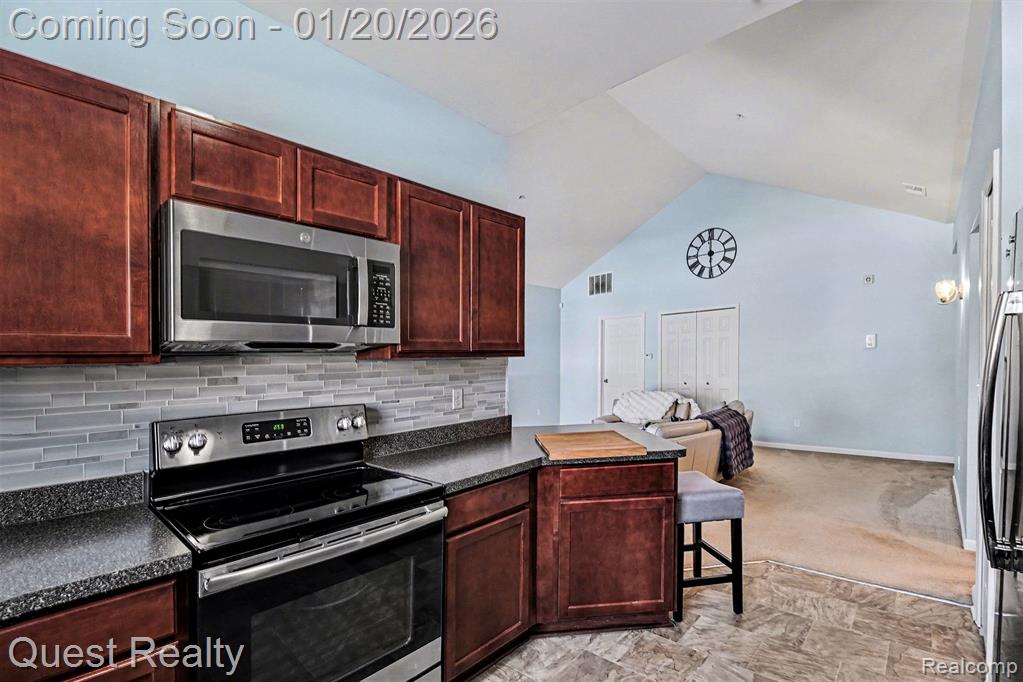 25998 Maritime Circle S, Harrison Township, MI — Photo 10