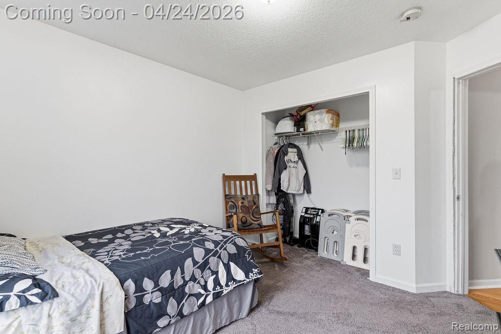 10511 N Lewis Road, Clio, MI 48420 — Photo 18