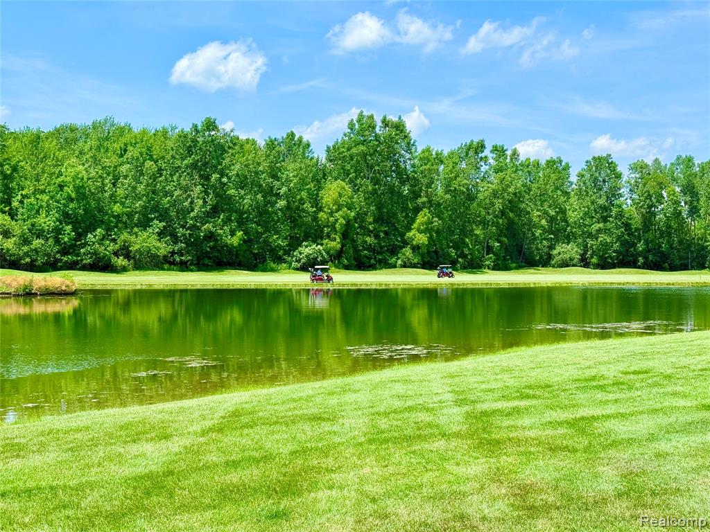 6426 Club Court W, Grand Blanc, MI 48439 — Photo 6