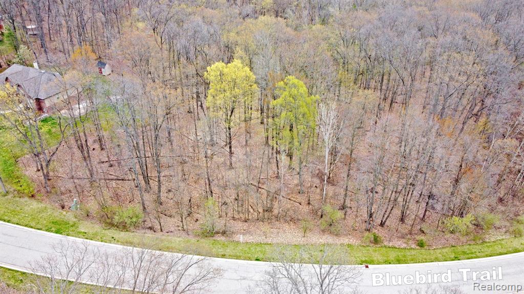 502 BLUEBIRD Trail, Ortonville, MI 48462 — Photo 21