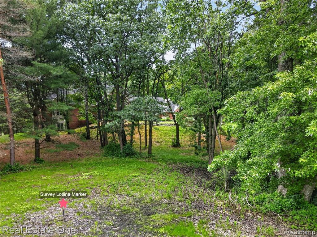 425 Courtney Road, Leonard, MI 48367 — Photo 88