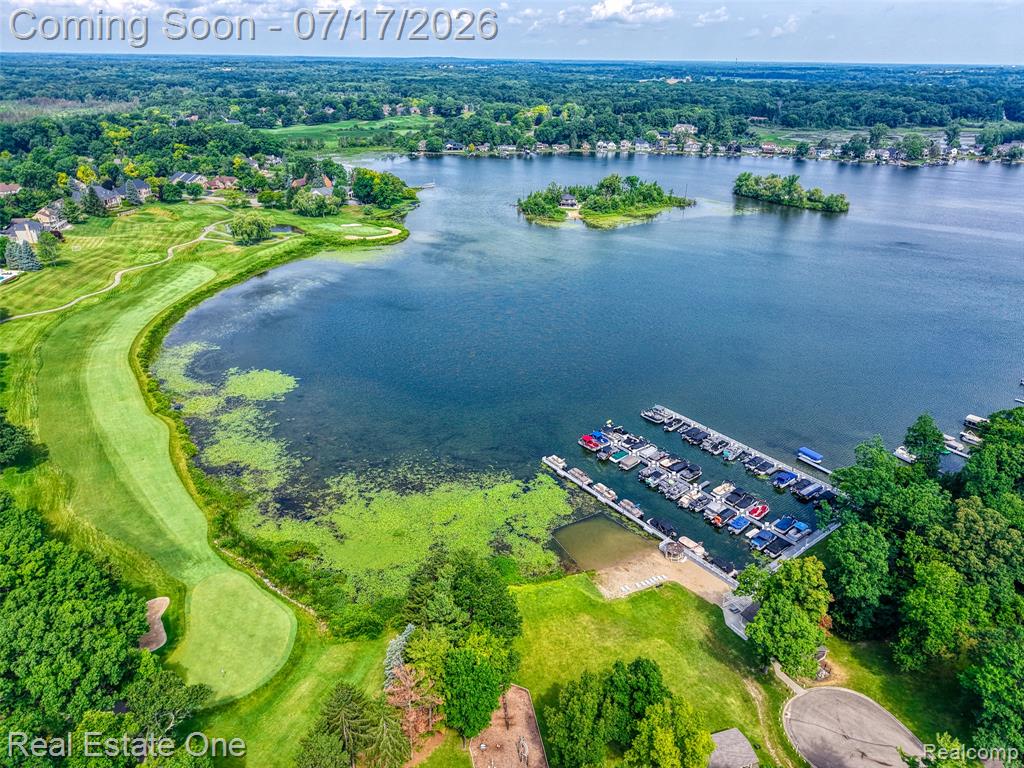 4884 Pine Eagles Court, Brighton, MI 48116 — Photo 44