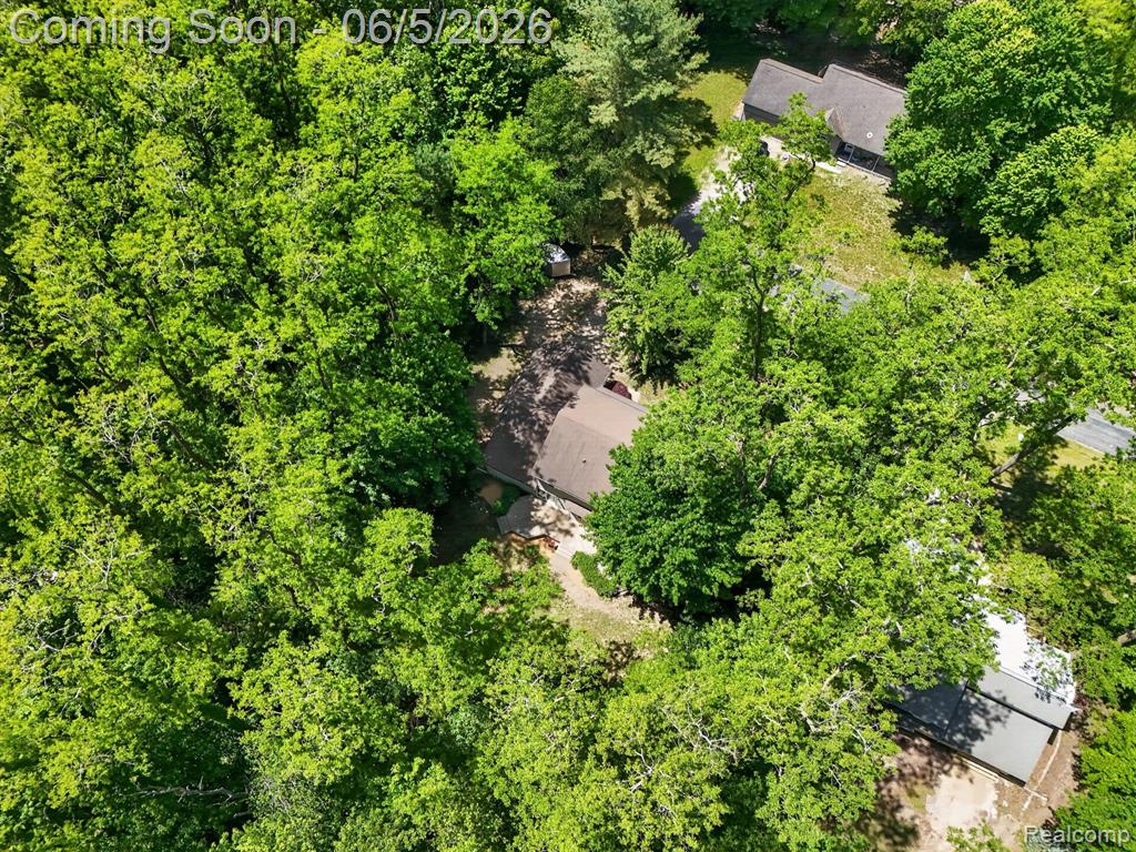 15129 Locust Grove Drive, Byron, MI 48418 — Photo 57