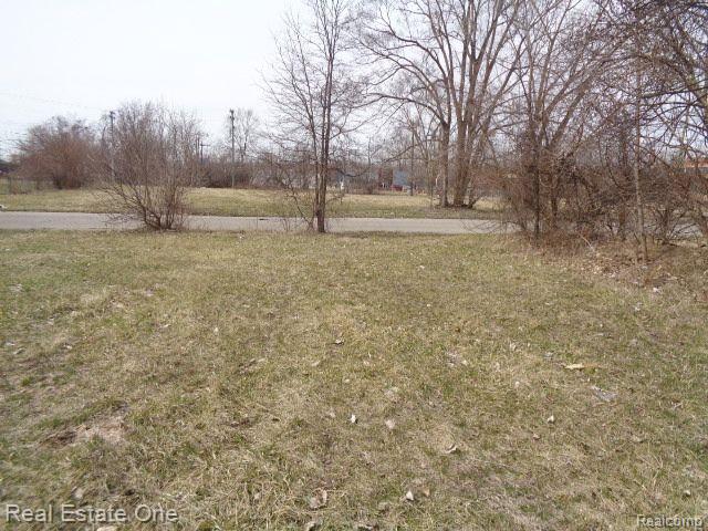 612 CONCORD Street, Detroit, MI 48207 — Photo 4
