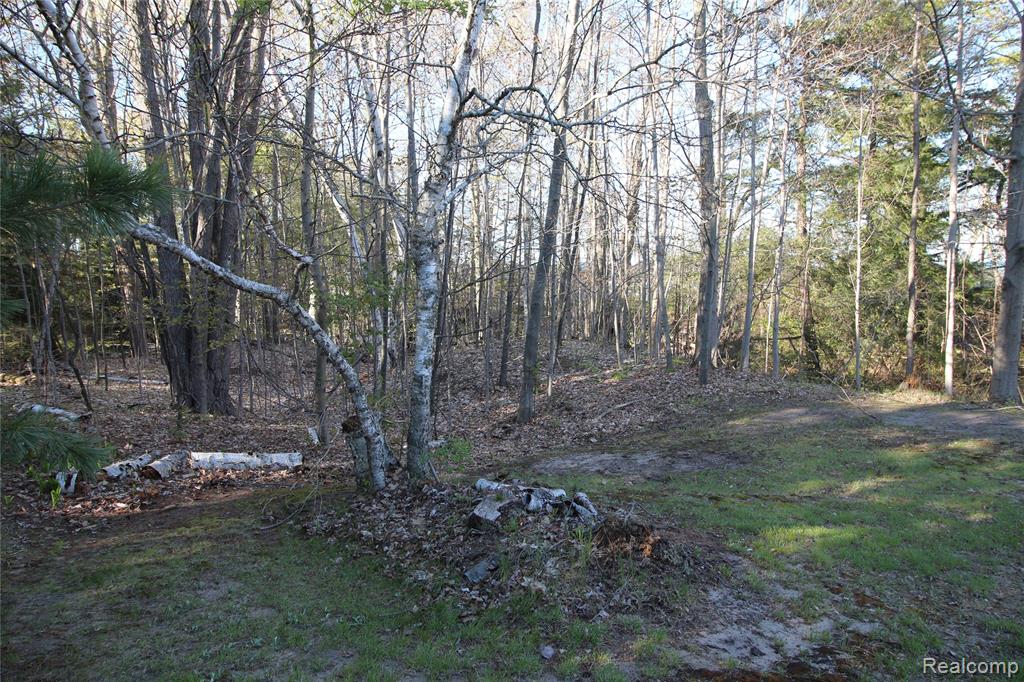 6405 Brookside Drive, Deckerville, MI 48427 — Photo 18