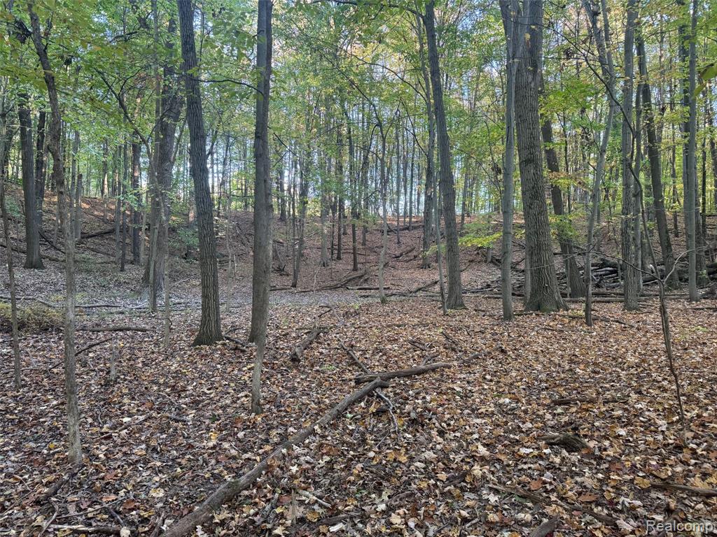 VL Rock Valley Road, Metamora, MI 48455 — Photo 6