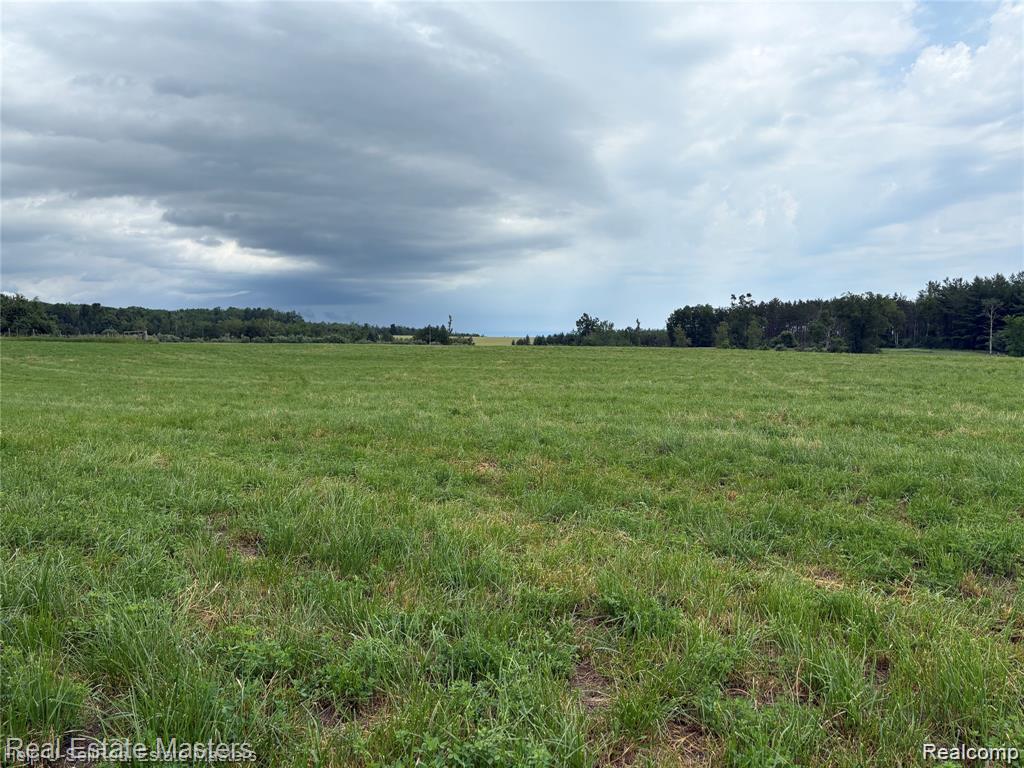 300 W Hubert Road, Spruce, MI — Photo 6