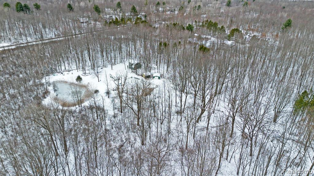4661 S SHERIDAN Road, Vassar, MI 48768 — Photo 18