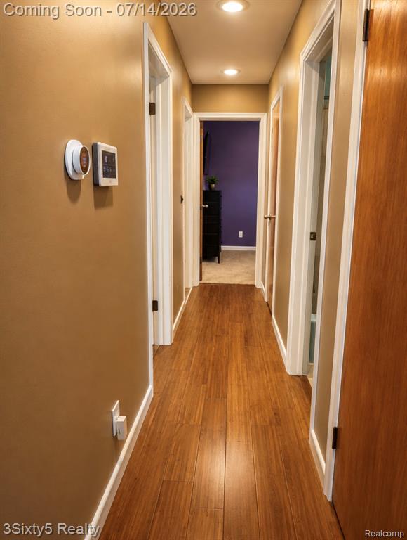 9251 Tonneberger Drive, Tecumseh, MI 49286 — Photo 17