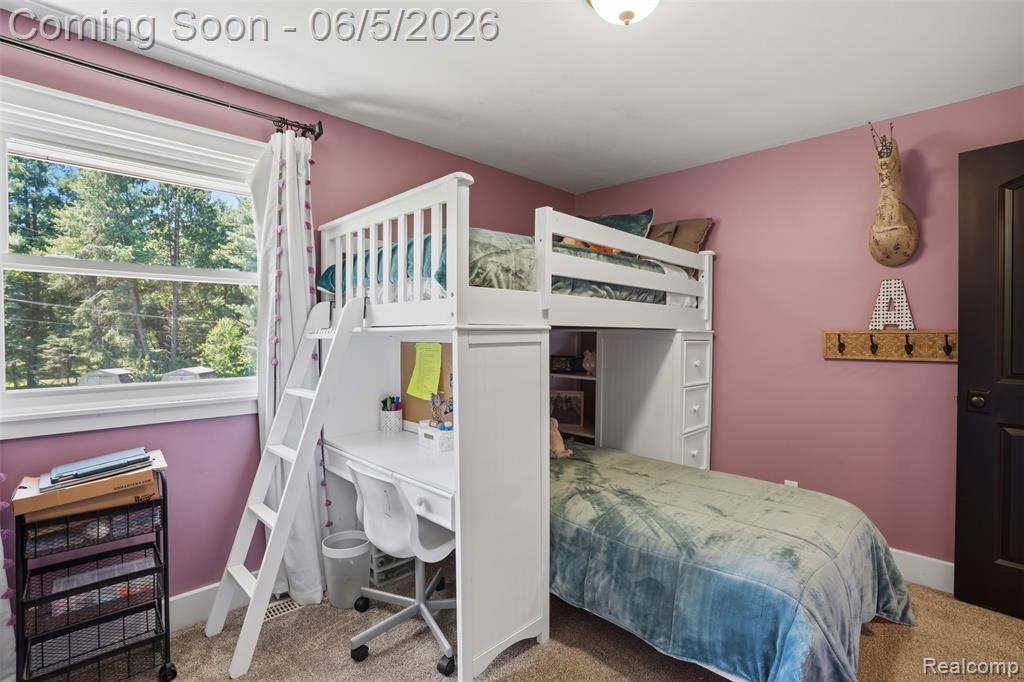 5080 Pleasant Valley Road, Brighton, MI 48114 — Photo 46