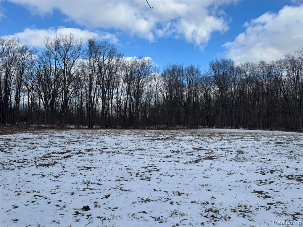 01 Remer Road, China, MI — Photo 2
