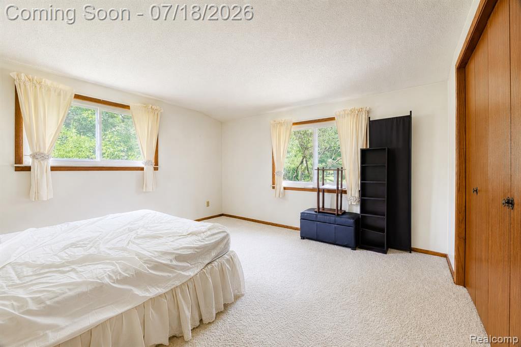 9550 Kies Road, Manchester, MI 48158 — Photo 20